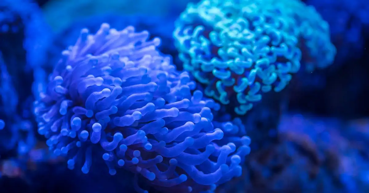 Aquarium spullen online kopen voor elk type aquarium