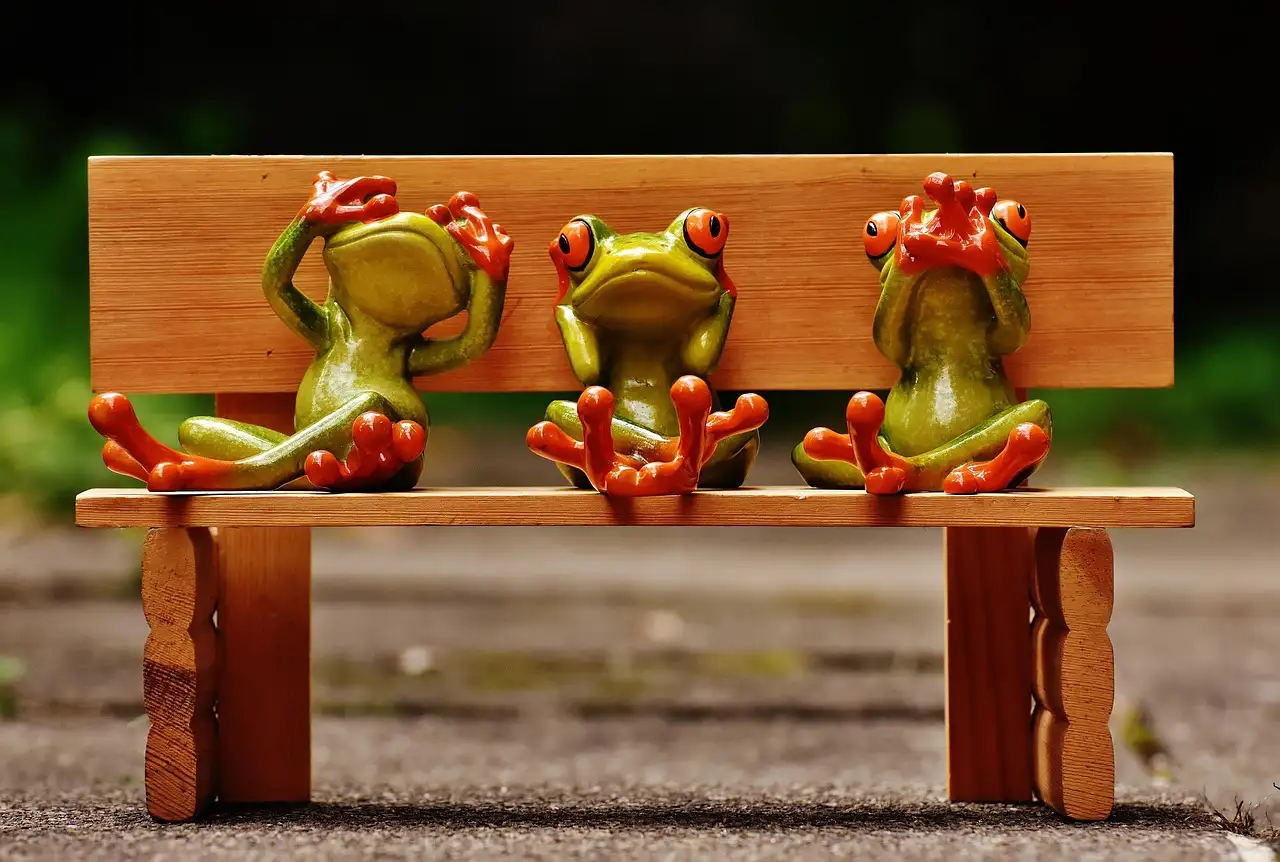Bench kopen hond: De beste benches voor uw viervoeter