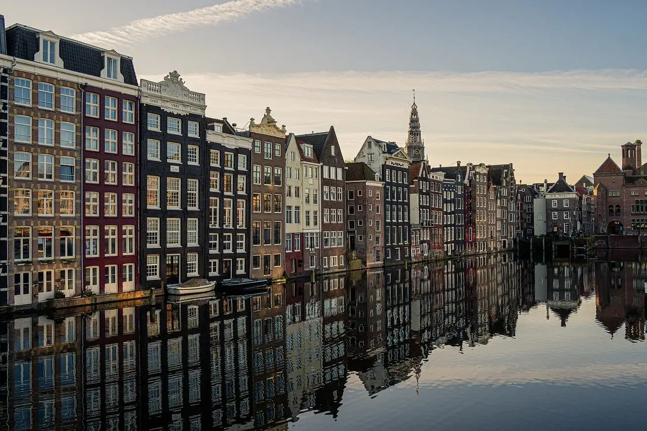 Dierenspeciaalzaken amsterdam