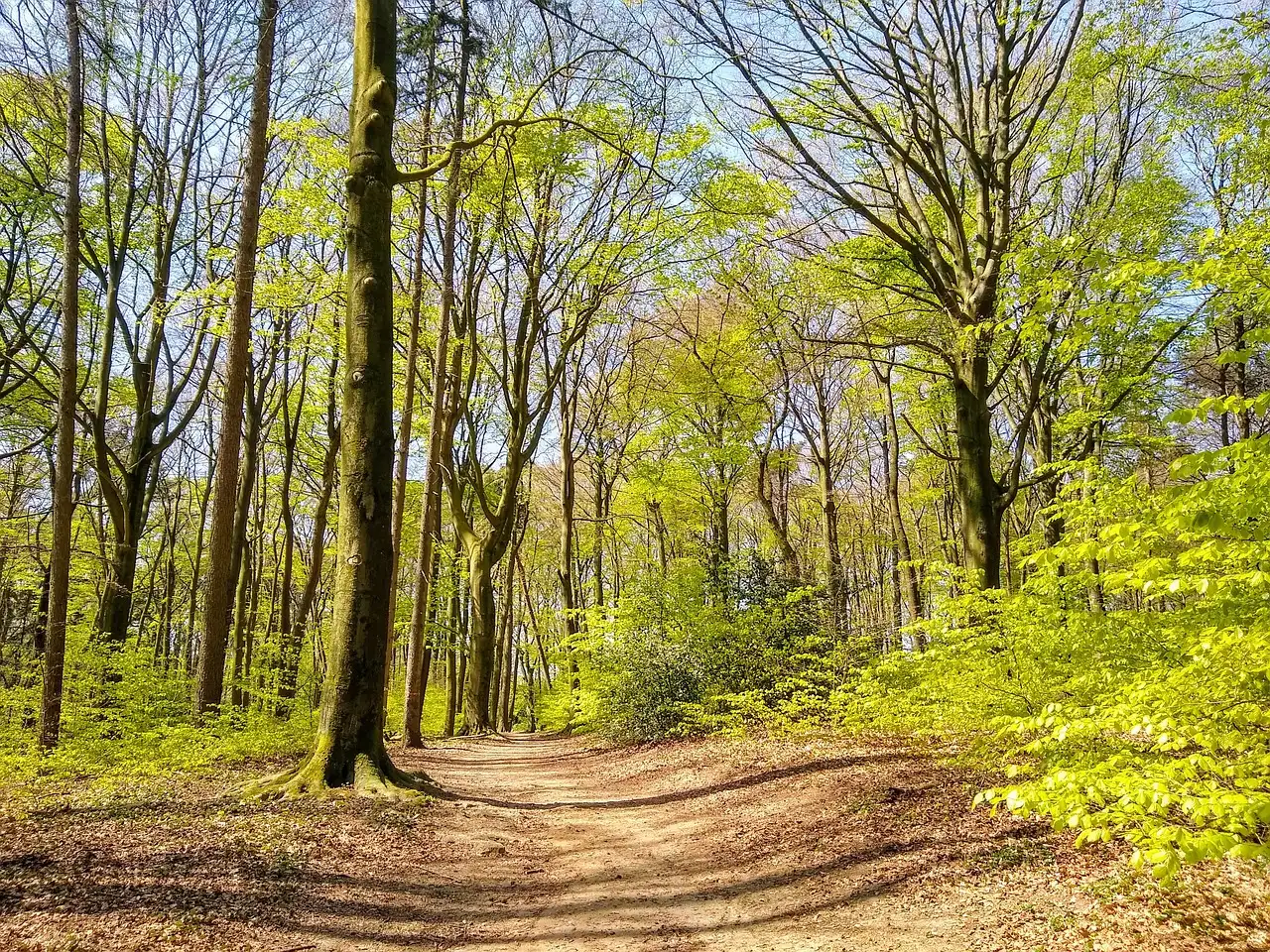 Dierenspeciaalzaken arnhem
