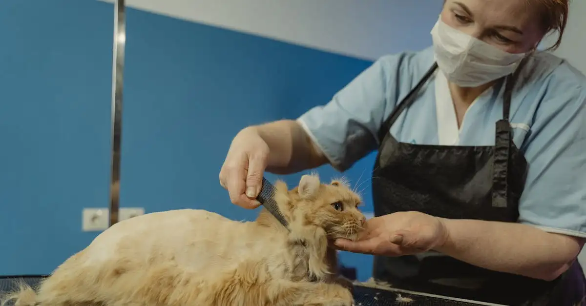 Pets