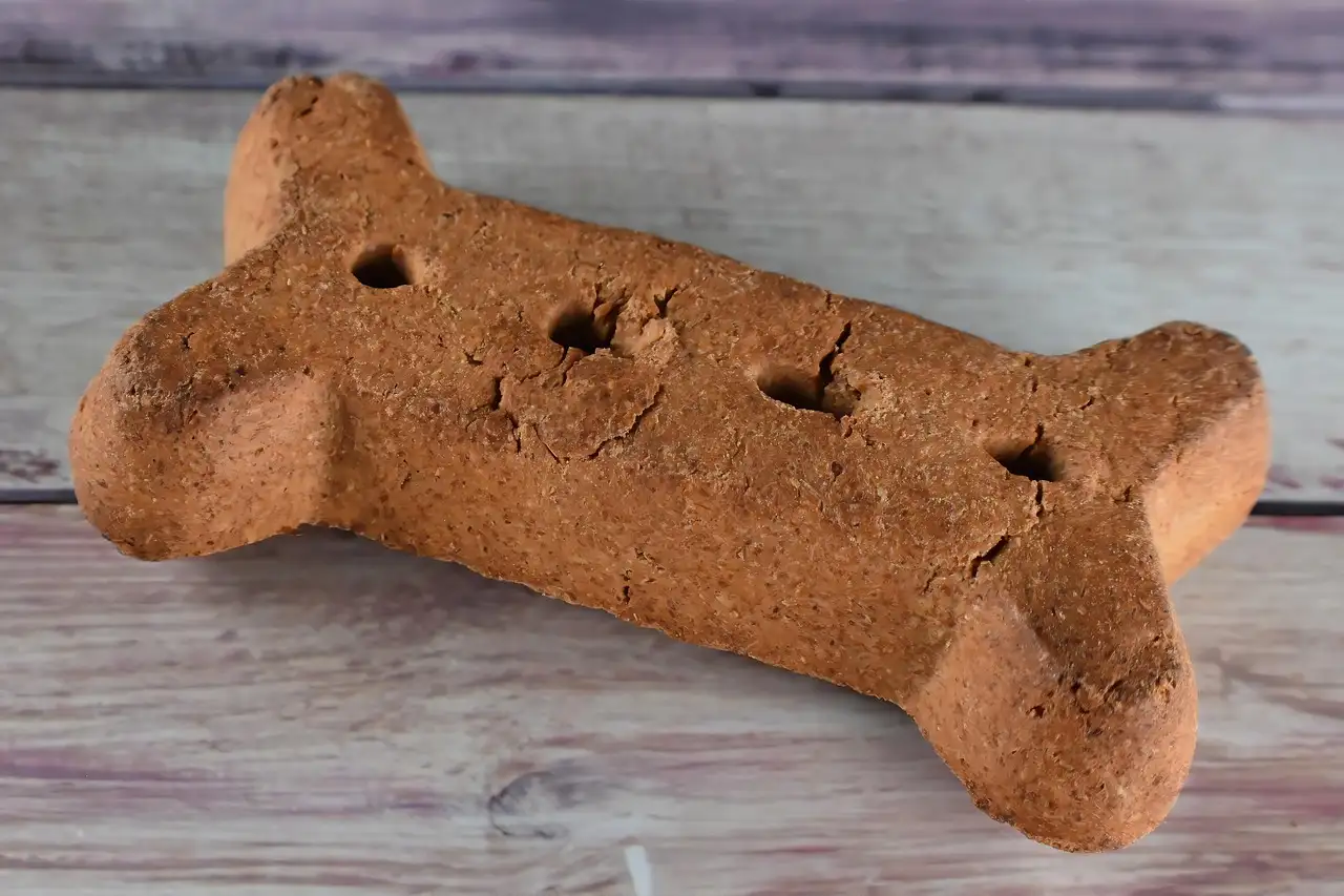 Goedkoop en goed hondenvoer kopen voor uw hond