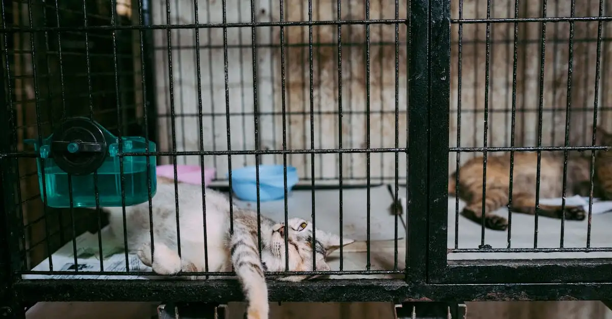 Grootste dierenwinkel voor al uw huisdierbenodigdheden