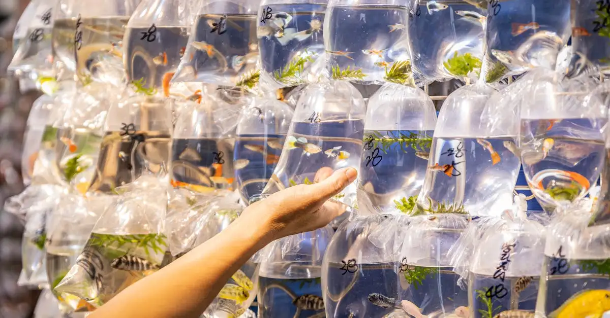 De grootste dierenwinkel van Brabant voor al je huisdieren