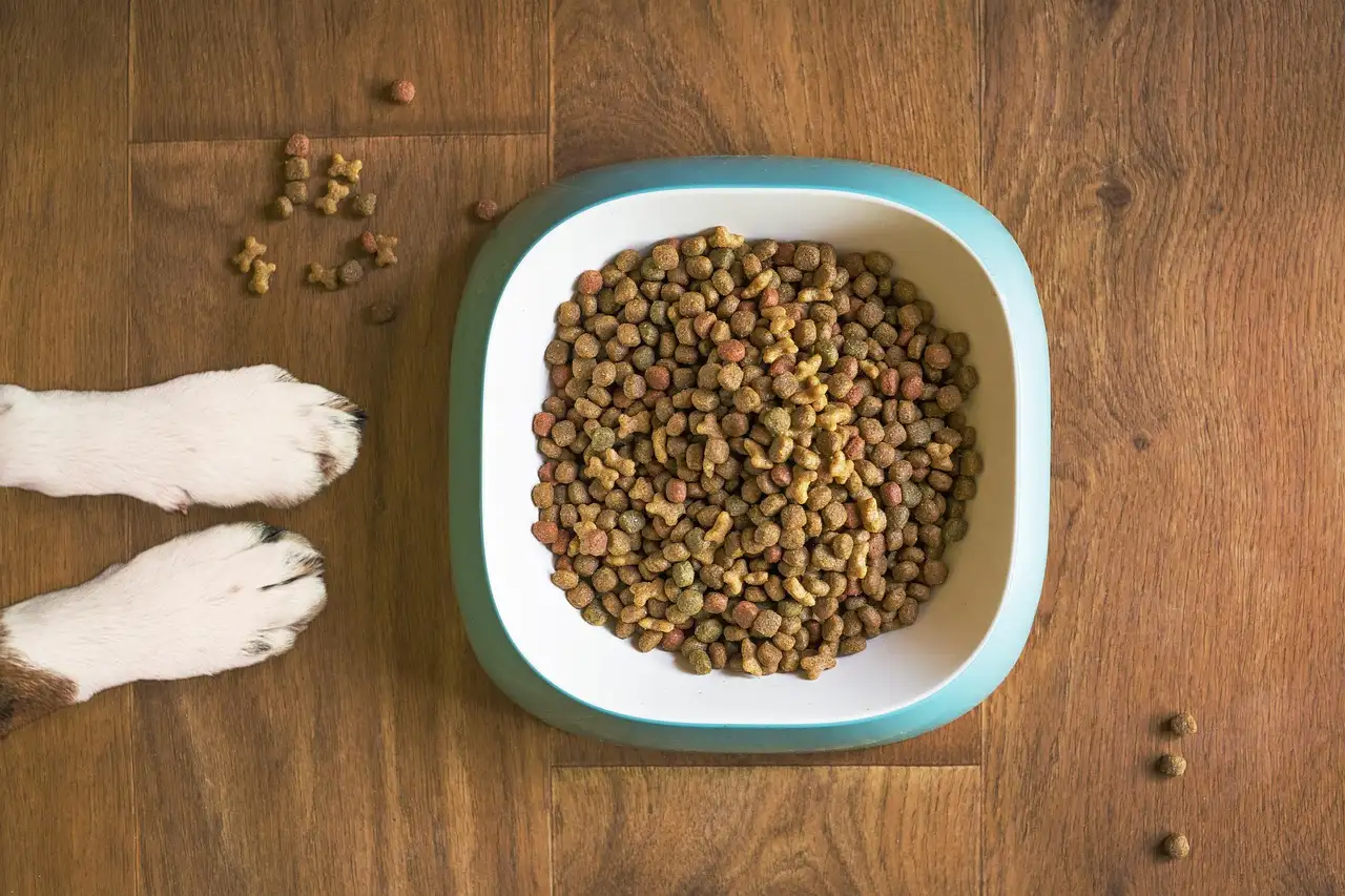 Kwalitatief hond voer voor een gezonde pup of volwassen hond