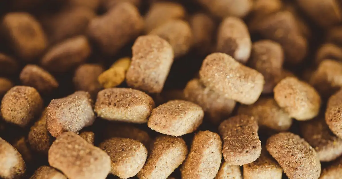 Beste honden eten merken vergelijken en advies