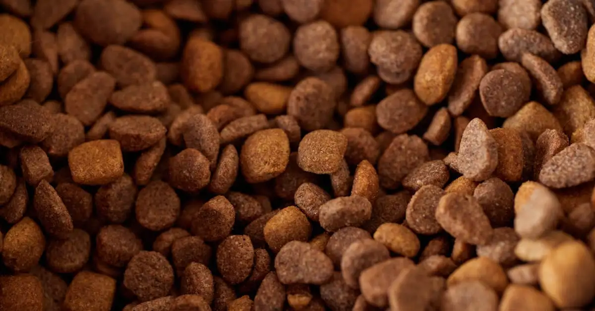 Ruime keuze hondenvoer van topmerken vind je bij Pets Place.