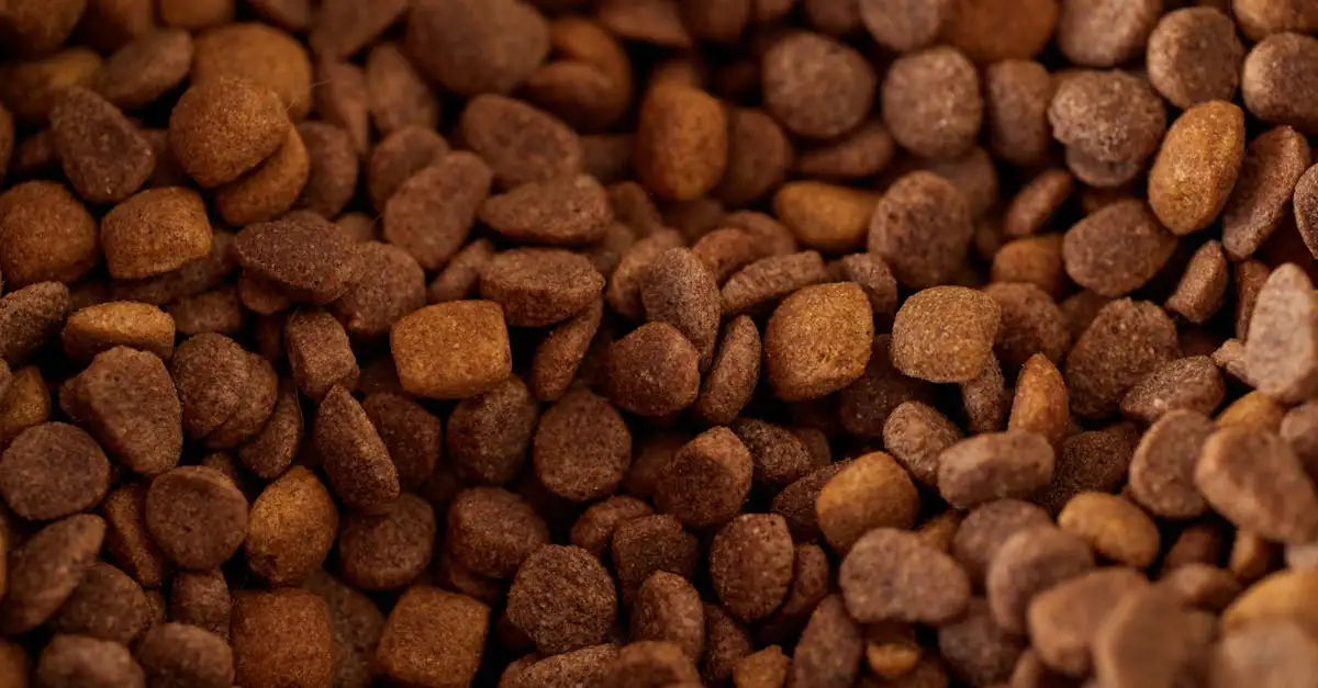 Compleet hondenvoer met vlees voor een gezonde hond