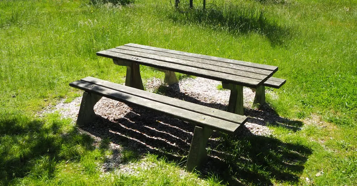Kitten in bench: Tips voor een veilige en comfortabele plek