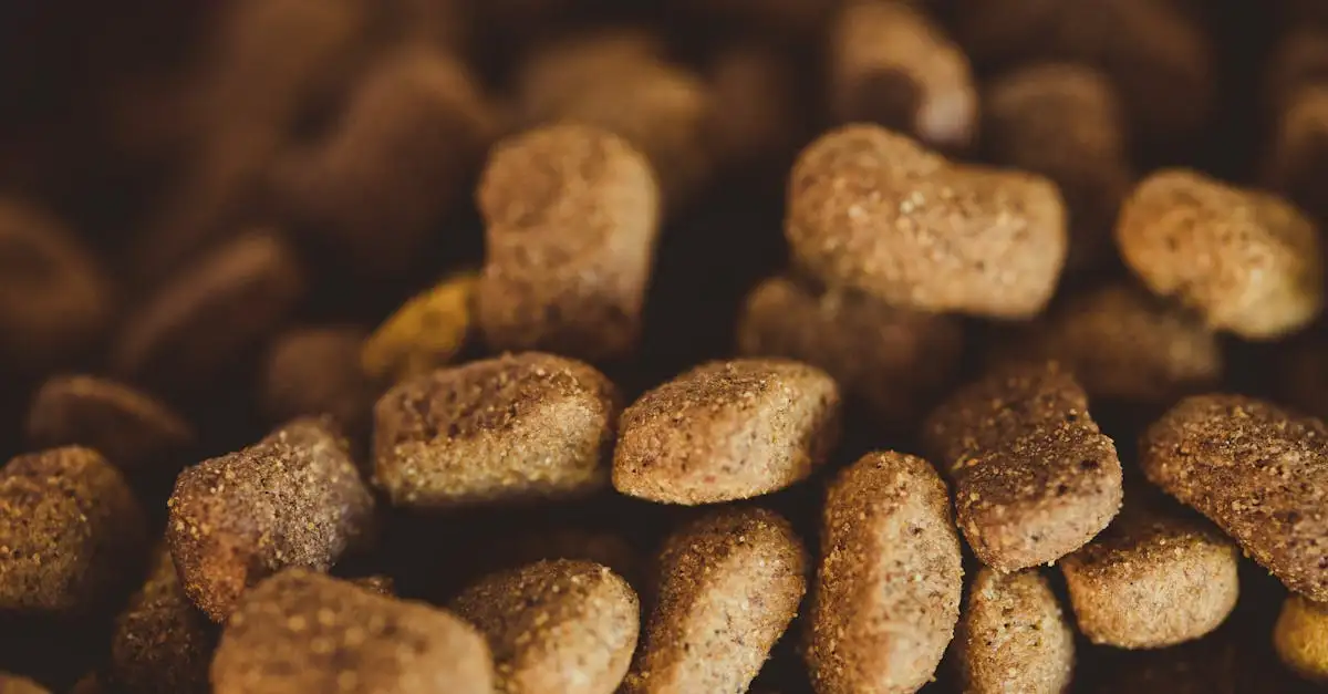 Kvv dierenvoeding: Gezonde en natuurlijke maaltijden voor
