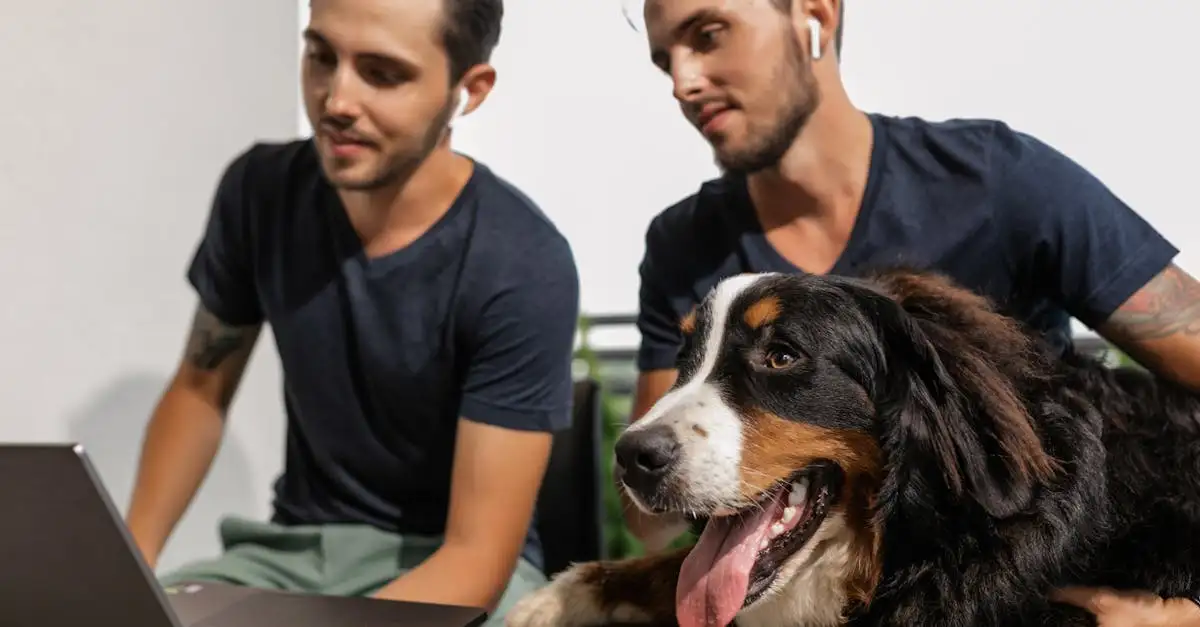 Online petstore met alles voor uw huisdier