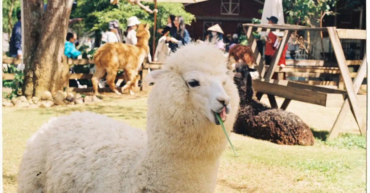 Leuke huisdieren en dieren voor gezinnen en kinderen