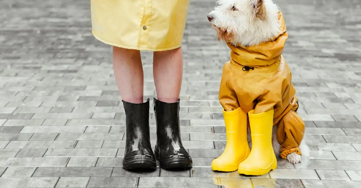 Dierenwinkel Utrecht: Alles voor uw huisdier