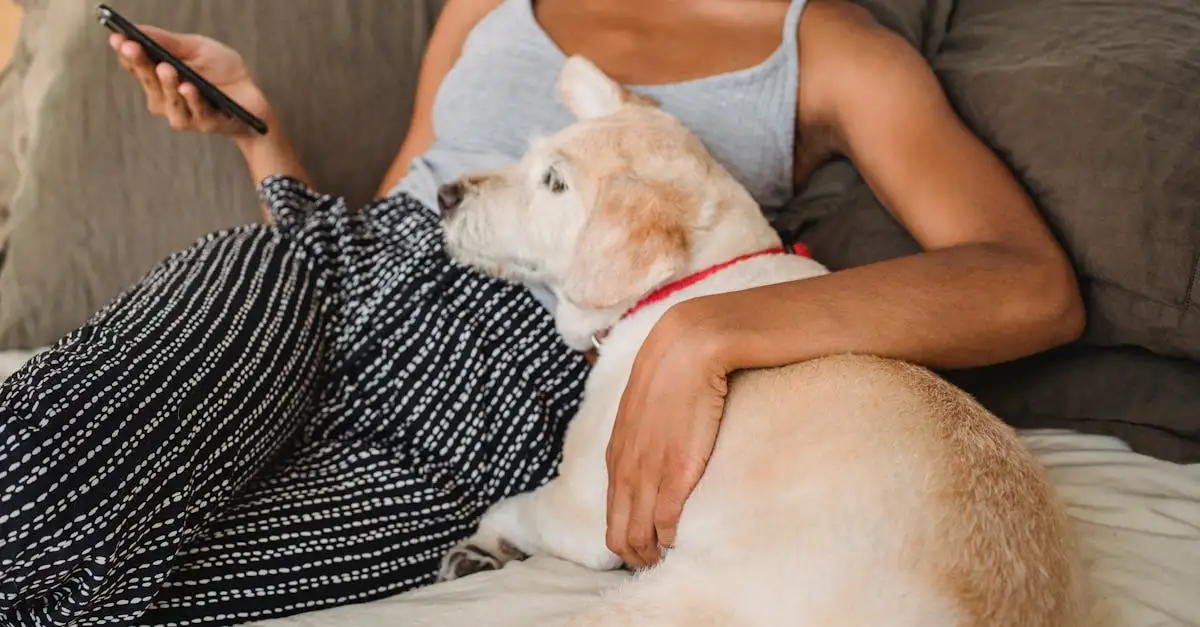 De Pets Place app: korting en spaarpunten op al je aankopen