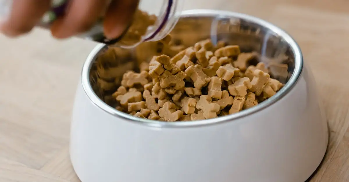 Royal Canin Puppy Voeding: Alles Voor Een Gezonde Start