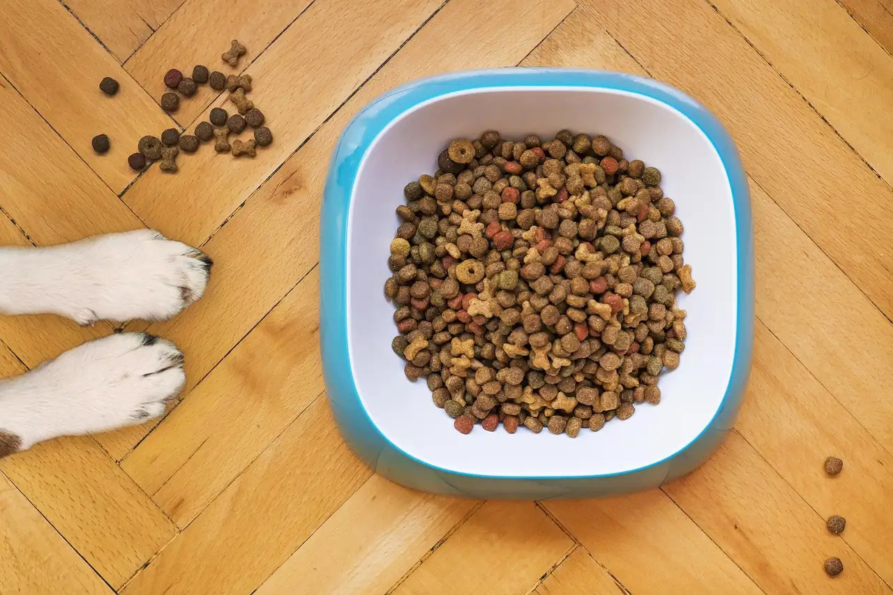 Vers vlees voeding voor uw hond: Gezond en natuurlijk