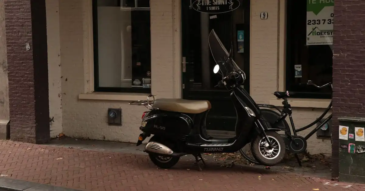 Dierenspeciaalzaken leeuwarden